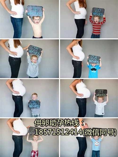 大连供卵生殖,1杭州妇幼试管婴儿多少钱