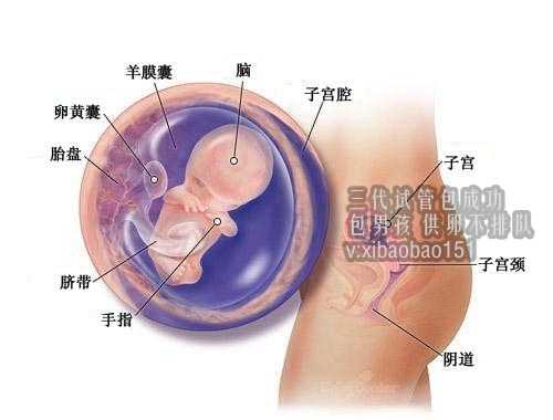江苏有人做代孕吗,2022年国家最新发布的三胎政策中有什么奖励吗