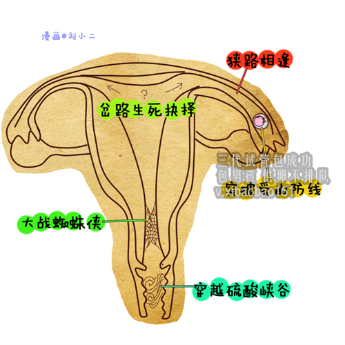 大连供卵代孕母亲,不同的宫腔粘连症状