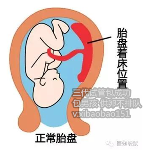 大连有助孕的群吗,濮阳市妇幼保健院试管婴儿移植一次成功率怎么样