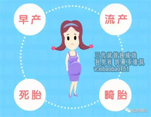 大连供卵助孕试管婴儿,上海试管婴儿的费用是多少